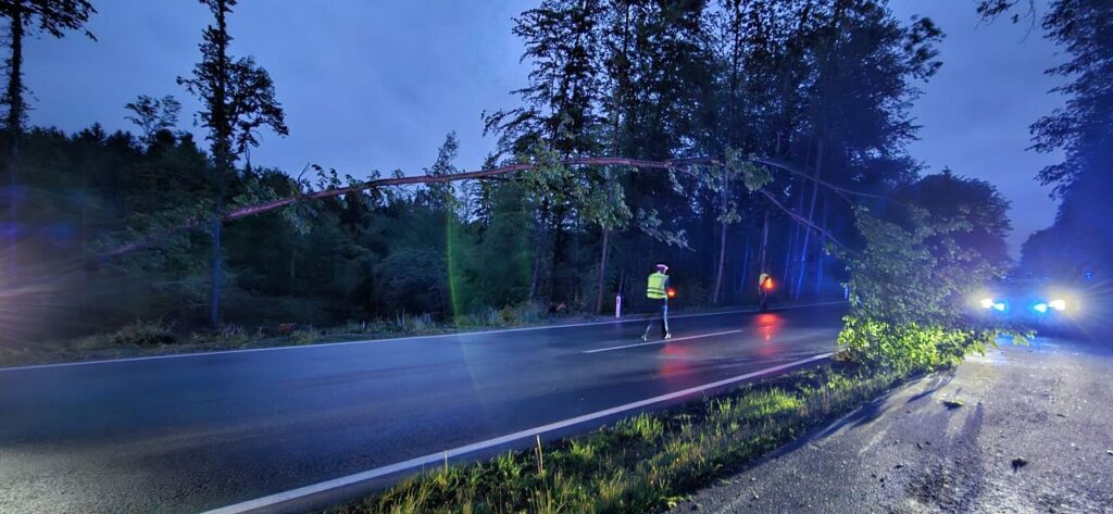 E29-2026 / Freitag, 15.05. / 05.00 - 06.00 Uhr / Baum über Straße (...)
